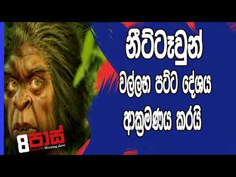 NETH FM 8 Pass Jokes 2019.03.07 - නීට්ටෑවුන් වල්ලභ පට්ට දේශය ආක්‍රමණය කරයි