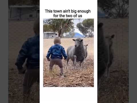 Mexican standoff #memes #funny #funnyclips #tiktok #reels #shorts