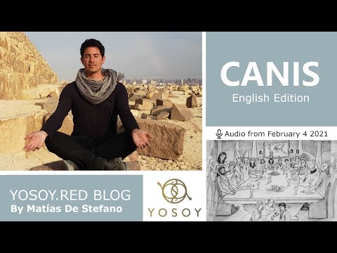Day 185 - CANIS - Matías De Stefano - YOSOY.RED BLOG: Plexus - Mental - Aquarius, Read by Celena 2/4