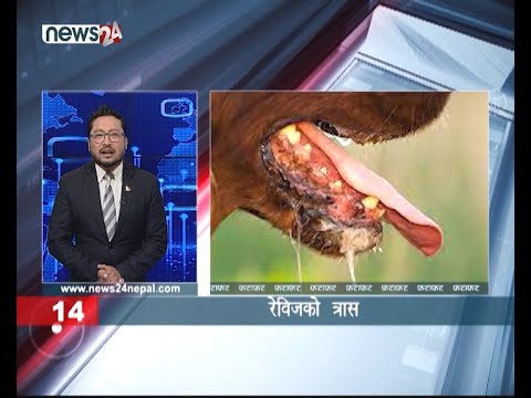 AFTERNOON NEWS FATAFAT- NEWS24 TV