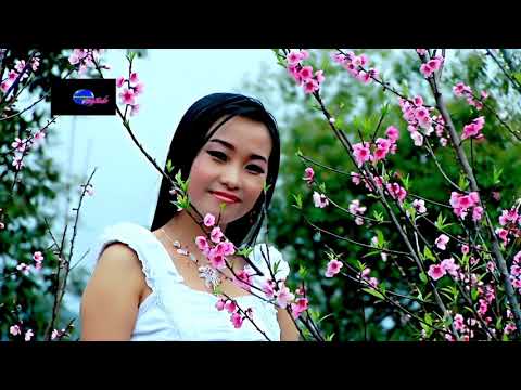 Suab Yaj Sab (Tsas Lis), Dej Ntshiab Si - Zoo Siab Tiam No - 2012