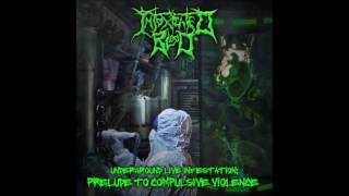 INTOXICATED BLOOD  - PERFECTION (ROTTEN SOUND COVER)