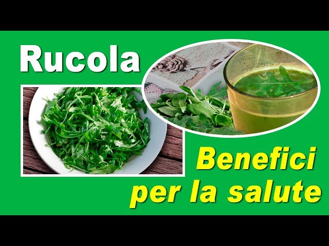 Video pronuncia di Rucola in Italiano