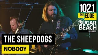 The Sheepdogs - Nobody (Live at the Edge)