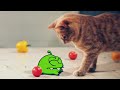 Om Nom And Cat Om Nom Monster Cartoon For Kids