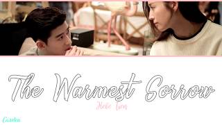 ● The Warmest Sorrow ● Hebe Tien (Chi/Pinyin/Eng)
