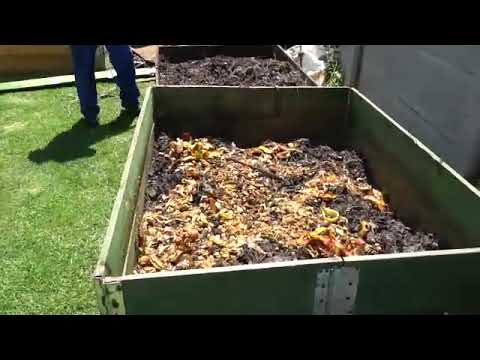 Bokashi composting made simple