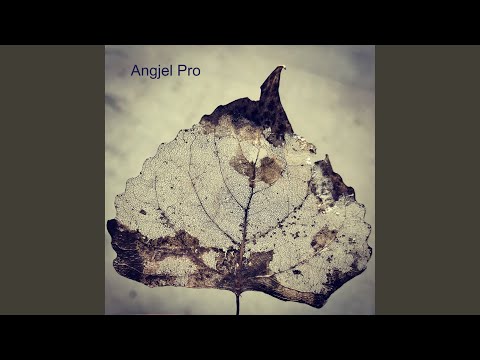 Pogonishte dropullite