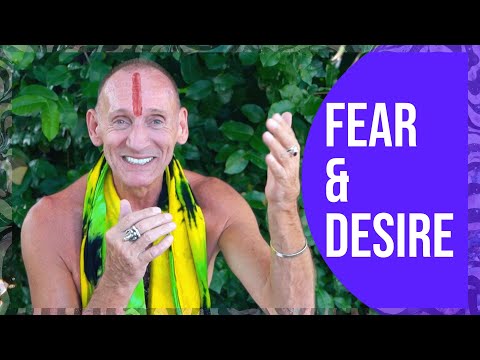 GDR On: Fear & Desire