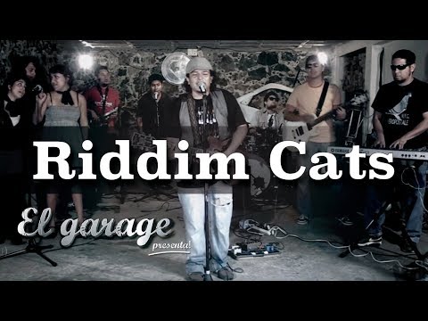 Riddim Cats - 