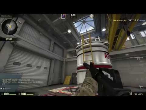 So i got matched against Liquid Twistzz (2016)