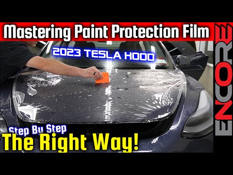 How To Properly Install PPF - Tesla Model 3 Hood -  Paint Protection Film Tutorial DIY