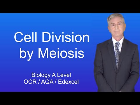 A Level Biology Revision "Cell Division by Meiosis".