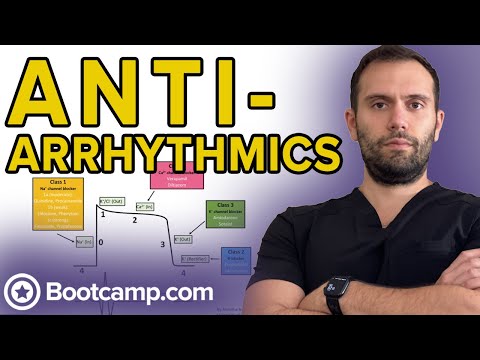 Overview of  Antiarrhythmics | HIGH-YIELD CARDIOLOGY | USMLE STEP 1