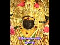 Lord Dakshinamurthy Abhishekam Srikalahasti