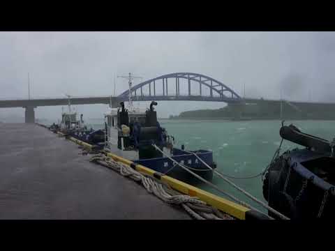 Video Thumbnail: Typhoon Bavi pummels Japanese island with violent winds, heavy rain