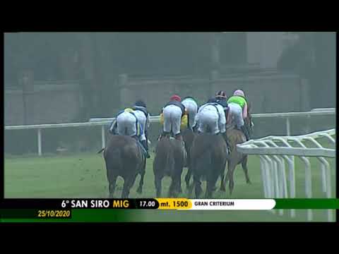 Premio Gran Criterium - Gruppe 2