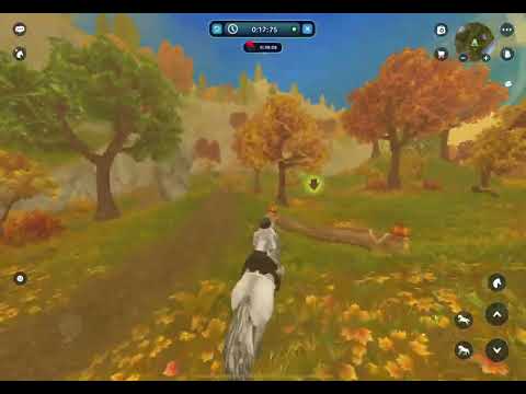 SSO Playfull Foxes Race ~ 0:44:66