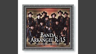 Te Amo Tanto Lyrics English Translation