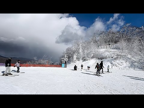 Karuizawa Prince Hotel Snow SKI Resort Kids Activity Sightseeing Review @ Kitasaku Nagano Japan 🇯🇵