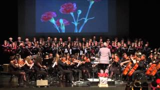 A formiga no carreiro