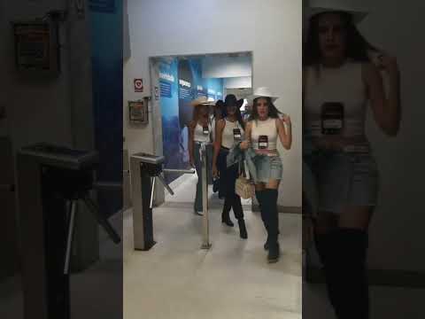 Do sonho à final: 12 candidatas seguem na disputa pelo título de Rainha PLRS 2026