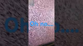 Download lagu Do not buy this tv π³π΅βπ«π± #samsung #tv #killscreen #error #emergency i swear it was about to explode mp3 Download lagu Do not buy this tv π³π΅βπ«π± #samsung #tv #killscreen #error #emergency i swear it was about to explode mp3