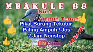 Download lagu Suara Pikat Burung Tekukur Paling Ampuh Bersih Durasi paling Panjang No.1 No Iklan Cocok Buat Pikat mp3