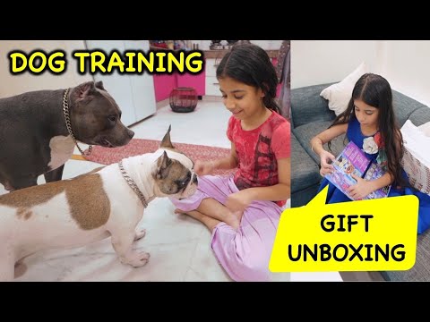 Gift Unboxing and Dog Training by Guneet | Harpreet SDC