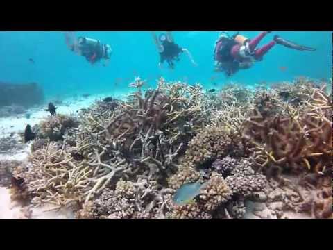 Scuba Diving the Great Barrier Reef  HD - Dive Girls - Part 3