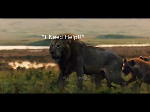 Awaken The Sleeping Lions - Epoch Rising