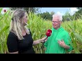 Maïsdoolhof tussen de Beukenhof en Horst wordt geopend
