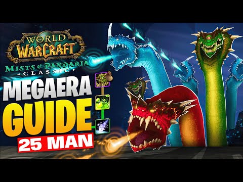 MEGAERA 25 MAN BOSS GUIDE  - THRONE OF THUNDER
