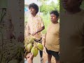25 பைசாக்கு இளநீர் Comedy Panamatta Reels Funny Fun