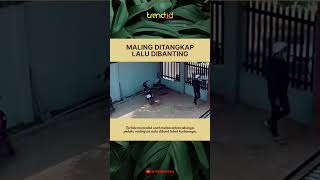 Download lagu MALING DITANGKAP LALU DIBANTING KE TANAH mp3