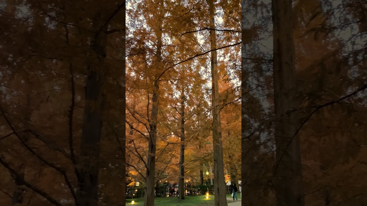 YouTube Short thumbnail