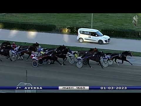 Aversa trotto 1 Marzo 2023 - 7° Corsa
