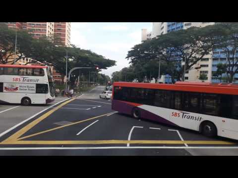SBS Transit Bus Service 51, SBS3648M