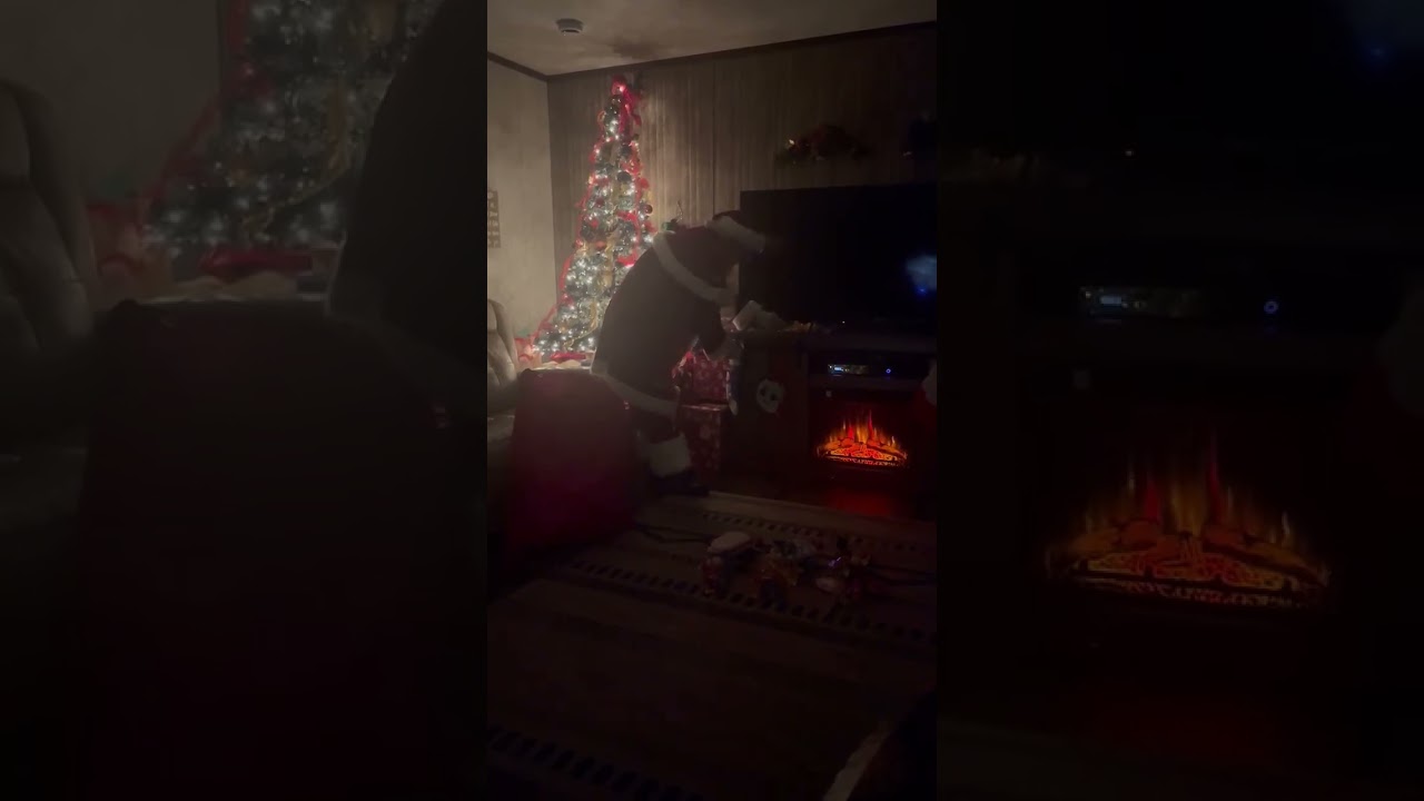 Promotional video thumbnail 1 for Santa Tag