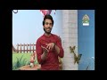 Rising Pakistan Exercise Segment Kashif Shahzad Fitness Expert 24 01 2024