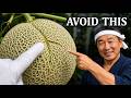 The Amish Got It Wrong Japanese Melon Signs You Need Now Before Summer Ends