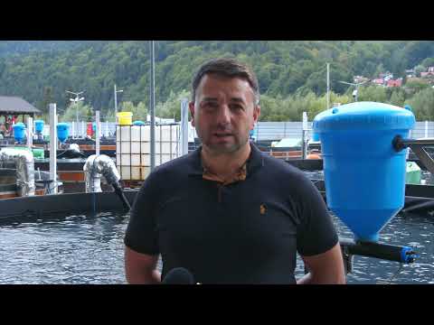 Păstrăvăria Busteni