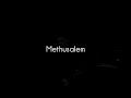 Diary Of Dreams - Methusalem live sub español & lyrics