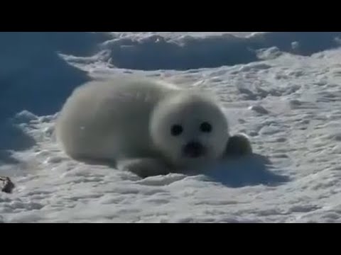 when you trigger the secret boss without knowing it