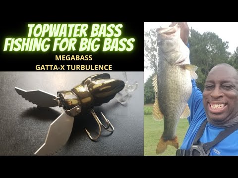 Topwater Bass Fishing Lure | MEGABASS GATTA X TURBULENCE | Big Bass Catcher