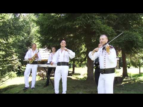 Stefan Vlasin - Pentru mandra ca-i frumoasa