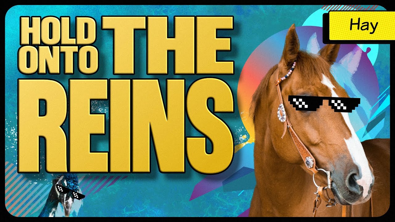 Hold Onto The Reins