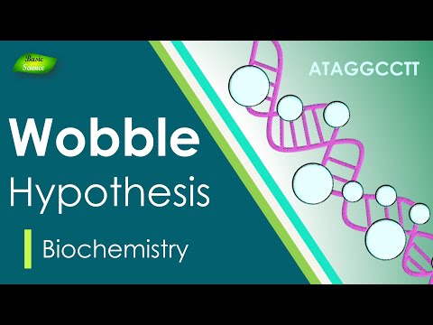 Wobble Hypothesis  | Anti-Codon | BIOCHEM| Part-4 | Protein synthesis |