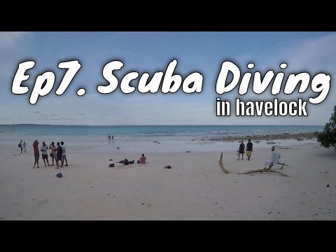 download lagu mp3 mp4 Barefoot Scuba Resort, download lagu Barefoot Scuba Resort gratis, unduh video klip Barefoot Scuba Resort