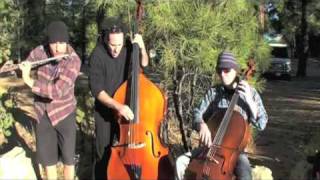 "Backcountry Gypsy Django Jazz" PROJECT Trio: Greg Pattillo, Eric Stephenson, Peter Seymour
